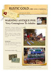 amepri0810_002.jpg